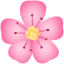 cherry blossom emoji
