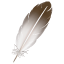 feather emoji