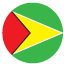 flag: guyana emoji
