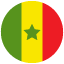 flag: senegal emoji
