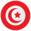 flag: tunisia emoji